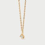 pdpaola collares