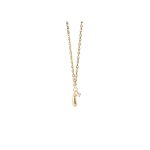 pdpaola collares