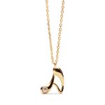 pdpaola collares