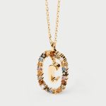 pdpaola collares
