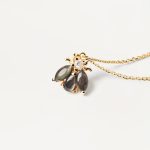 pdpaola collares