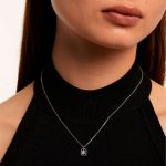 pdpaola collares