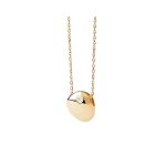 pdpaola collares